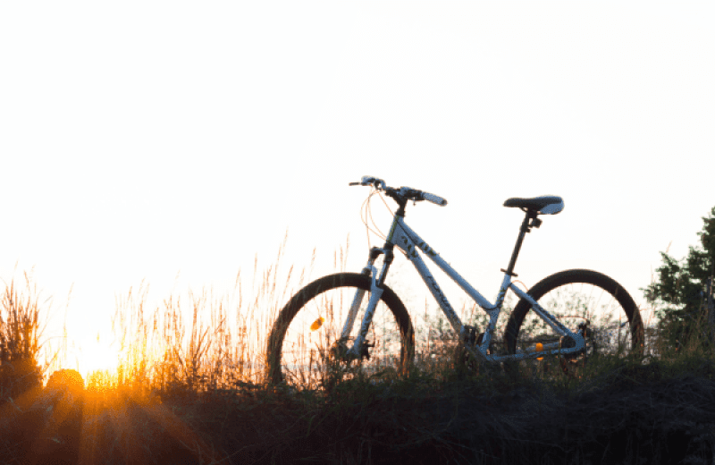 Wandelen en fietsen