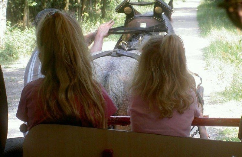 Huifkartocht vanaf het huisje